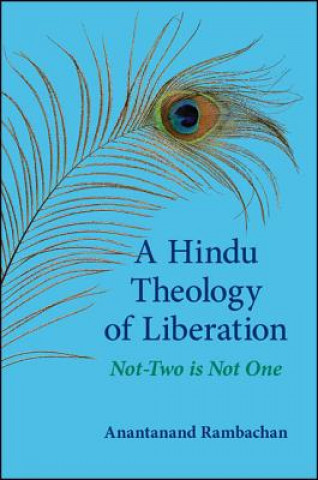 Книга Hindu Theology of Liberation Anantanand Rambachan