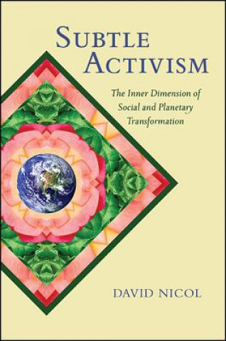 Könyv Subtle Activism David Nicol