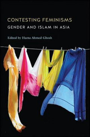 Kniha Contesting Feminisms Huma Ahmed-Ghosh