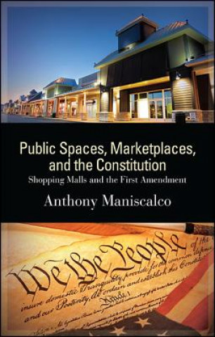 Книга Public Spaces, Marketplaces, and the Constitution Anthony Maniscalco