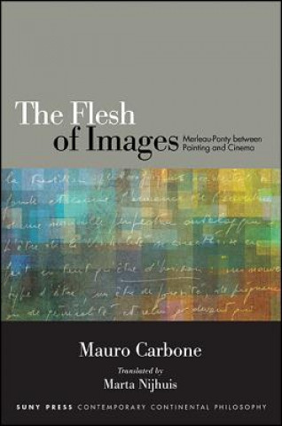 Kniha Flesh of Images Mauro Carbone