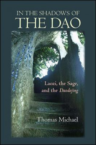 Kniha In the Shadows of the Dao Thomas Michael