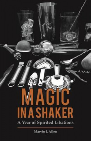 Kniha Magic in a Shaker Marvin J Allen