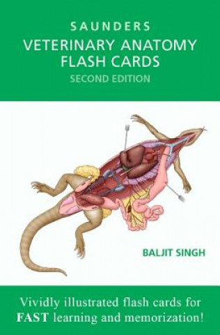 Tiskovina Veterinary Anatomy Flash Cards Saunders