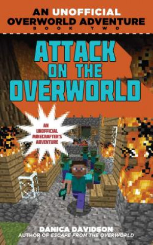 Kniha Attack on the Overworld Danica Davidson