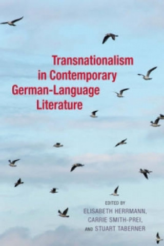 Kniha Transnationalism in Contemporary German-Language Literature Elisabeth Herrmann