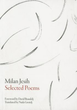 Carte Selected Poems Milan Jesih