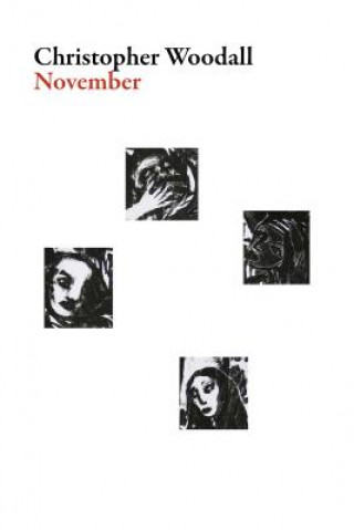 Boek November Christopher Woodall