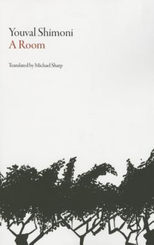 Kniha Room Youval Shimoni