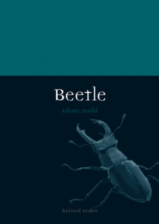 Carte Beetle Adam Dodd