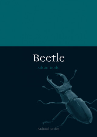 Książka Beetle Adam Dodd