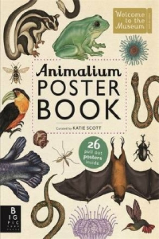 Carte Animalium Poster Book Susanna Davidson