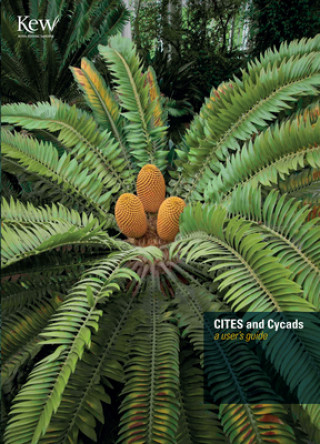 Książka CITES and Cycads Rutherford Et Al