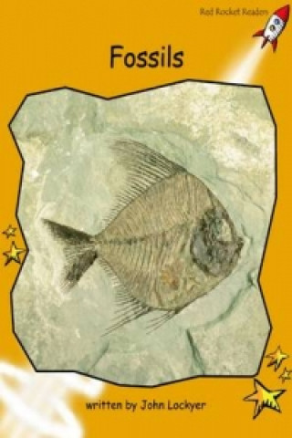 Book Fossils John Lockyer