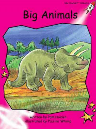 Boek Red Rocket Readers Pam Holden