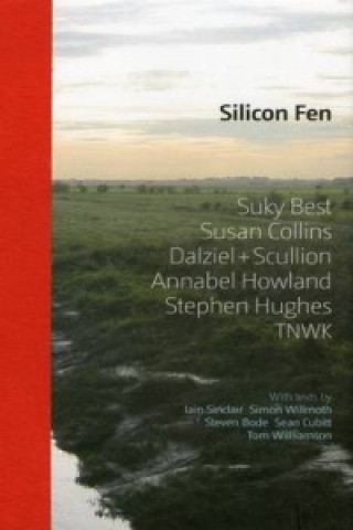 Kniha Silicon Fen Simon Willmoth