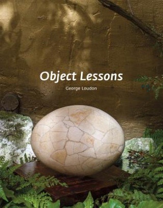 Kniha Object Lessons 