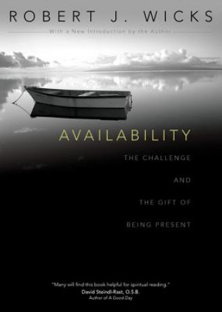 Knjiga Availability Robert J. Wicks