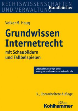 Książka Grundwissen Internetrecht Volker Haug