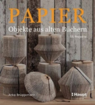 Książka Papier-Objekte aus alten Büchern Anka Brüggemann