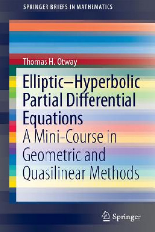 Könyv Elliptic-Hyperbolic Partial Differential Equations Thomas H. Otway
