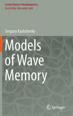 Knjiga Models of Wave Memory Serguey Kashchenko