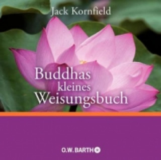 Kniha Buddhas kleines Weisungsbuch Jack Kornfield
