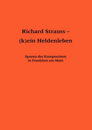 Kniha Richard Strauss - (k)ein Heldenleben Norbert Abels