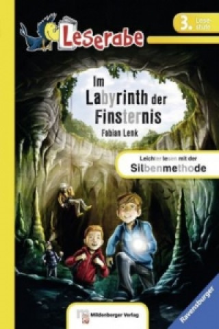 Könyv Im Labyrinth der Finsternis - Leserabe 3. Klasse - Erstlesebuch für Kinder ab 8 Jahren Fabian Lenk