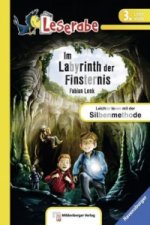 Carte Im Labyrinth der Finsternis - Leserabe 3. Klasse - Erstlesebuch für Kinder ab 8 Jahren Fabian Lenk