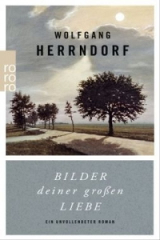 Könyv Bilder deiner grossen Liebe Wolfgang Herrndorf