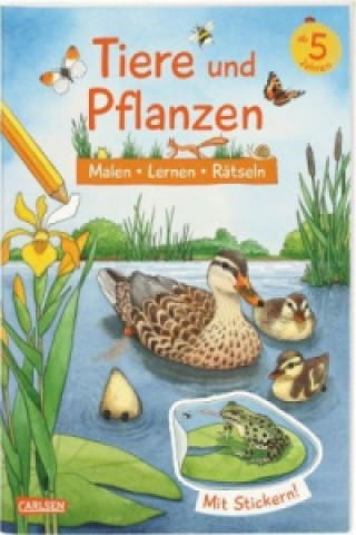 Kniha Tiere und Pflanzen Lena Bachmann