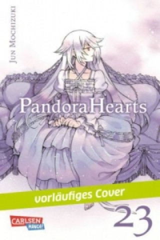Kniha Pandora Hearts. Bd.23 Jun Mochizuki