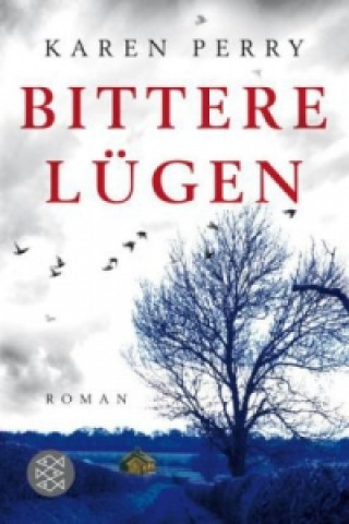 Buch Bittere Lügen Karen Perry