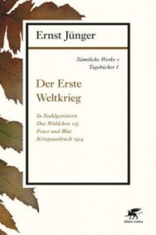 Könyv Der Erste Weltkrieg Ernst Jünger