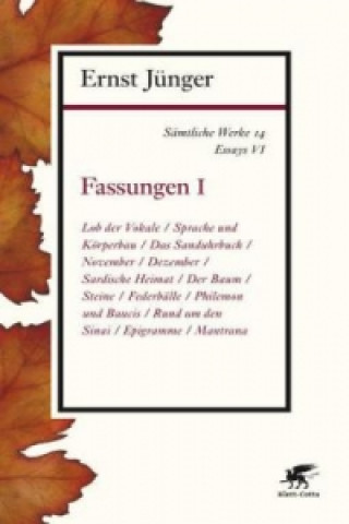 Kniha Fassungen. Tl.1 Ernst Jünger