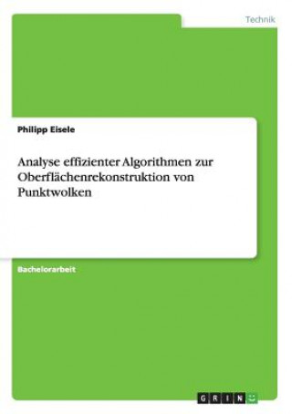 Buch Analyse effizienter Algorithmen zur Oberflachenrekonstruktion von Punktwolken Philipp Eisele