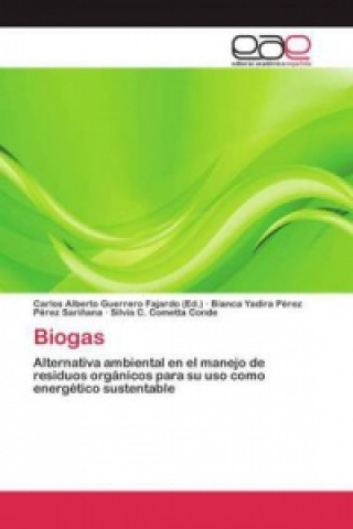 Kniha Biogas Bianca Yadira Pérez Pérez Sariñana