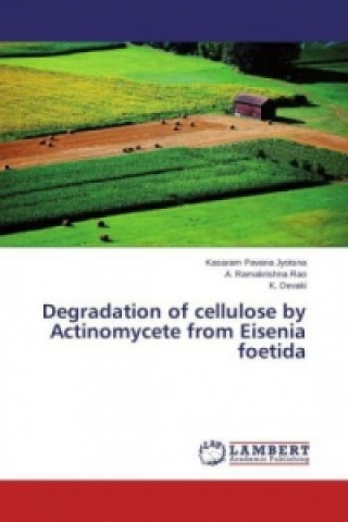 Książka Degradation of cellulose by Actinomycete from Eisenia foetida Kasaram Pavana Jyotsna