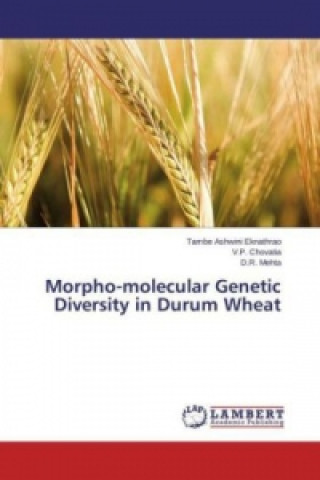 Książka Morpho-molecular Genetic Diversity in Durum Wheat Tambe Ashwini Eknathrao