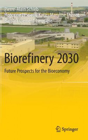 Könyv Biorefinery 2030 Pierre-Alain Schieb