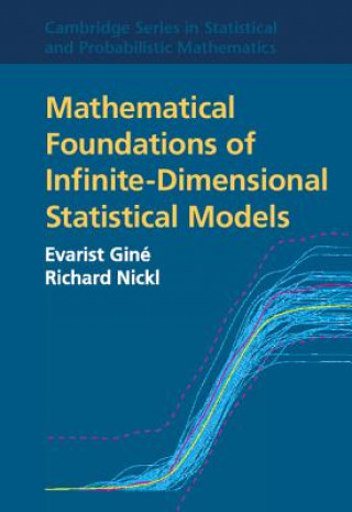 Kniha Mathematical Foundations of Infinite-Dimensional Statistical Models Evarist Giné