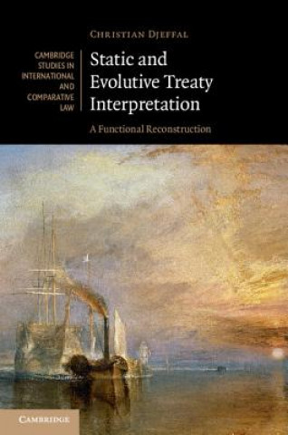 Книга Static and Evolutive Treaty Interpretation Christian Djeffal