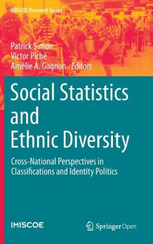 Książka Social Statistics and Ethnic Diversity Patrick Simon