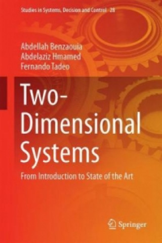 Kniha Two-Dimensional Systems Abdellah Benzaouia