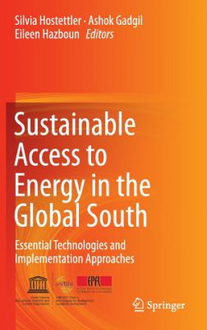 Kniha Sustainable Access to Energy in the Global South Silvia Hostettler