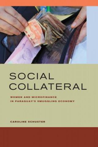 Kniha Social Collateral Caroline E. Schuster