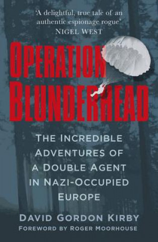 Kniha Operation Blunderhead David Gordon Gordon