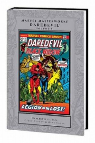 Kniha Marvel Masterworks: Daredevil Volume 9 Gerry Conway