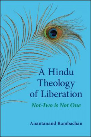 Buch Indu Theology of Liberation Anantanand Rambachan